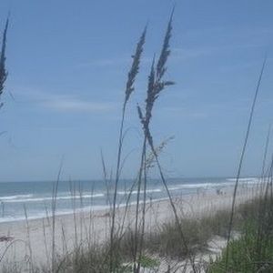 Meet your Posher, Elisa